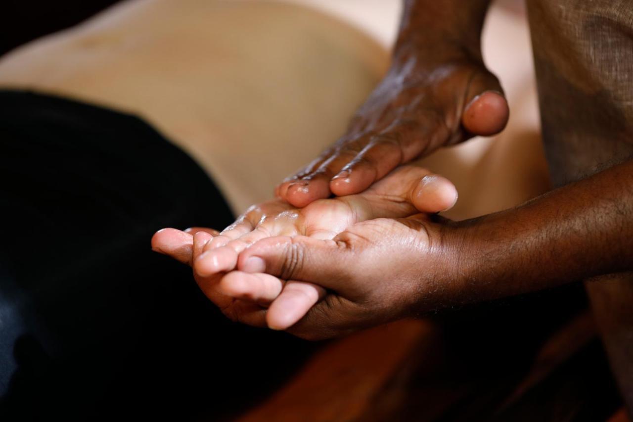 Sanjeevini Life Care Village - A Science Based Non - Invasive Holistic Wellness Destination Kochi Luaran gambar